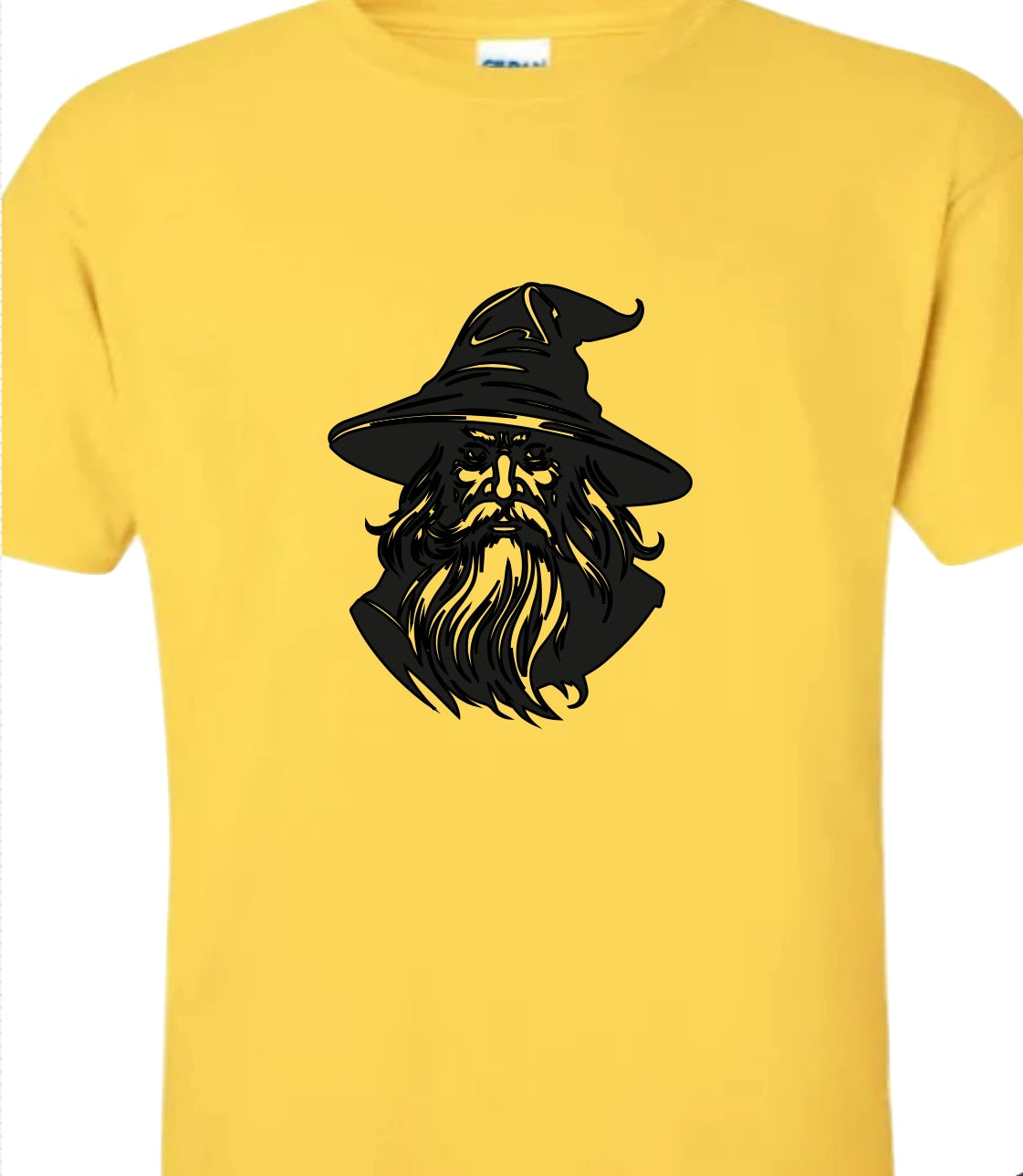 “You’re a Rizzard Harry” Tee