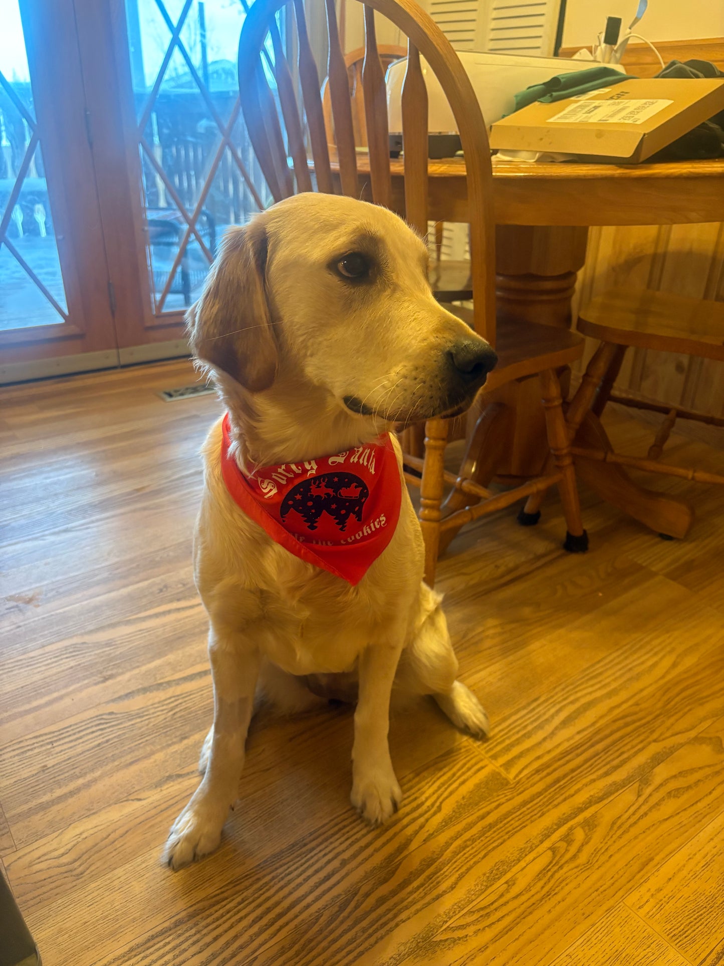 “Sorry Santa” dog bandana