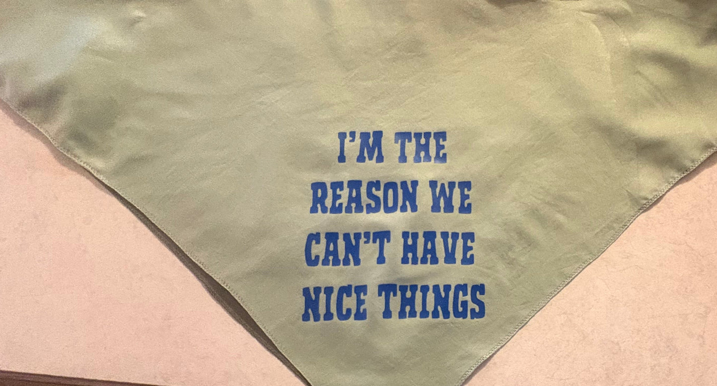 “I’m The Reason We can’t have nice things” dog bandana