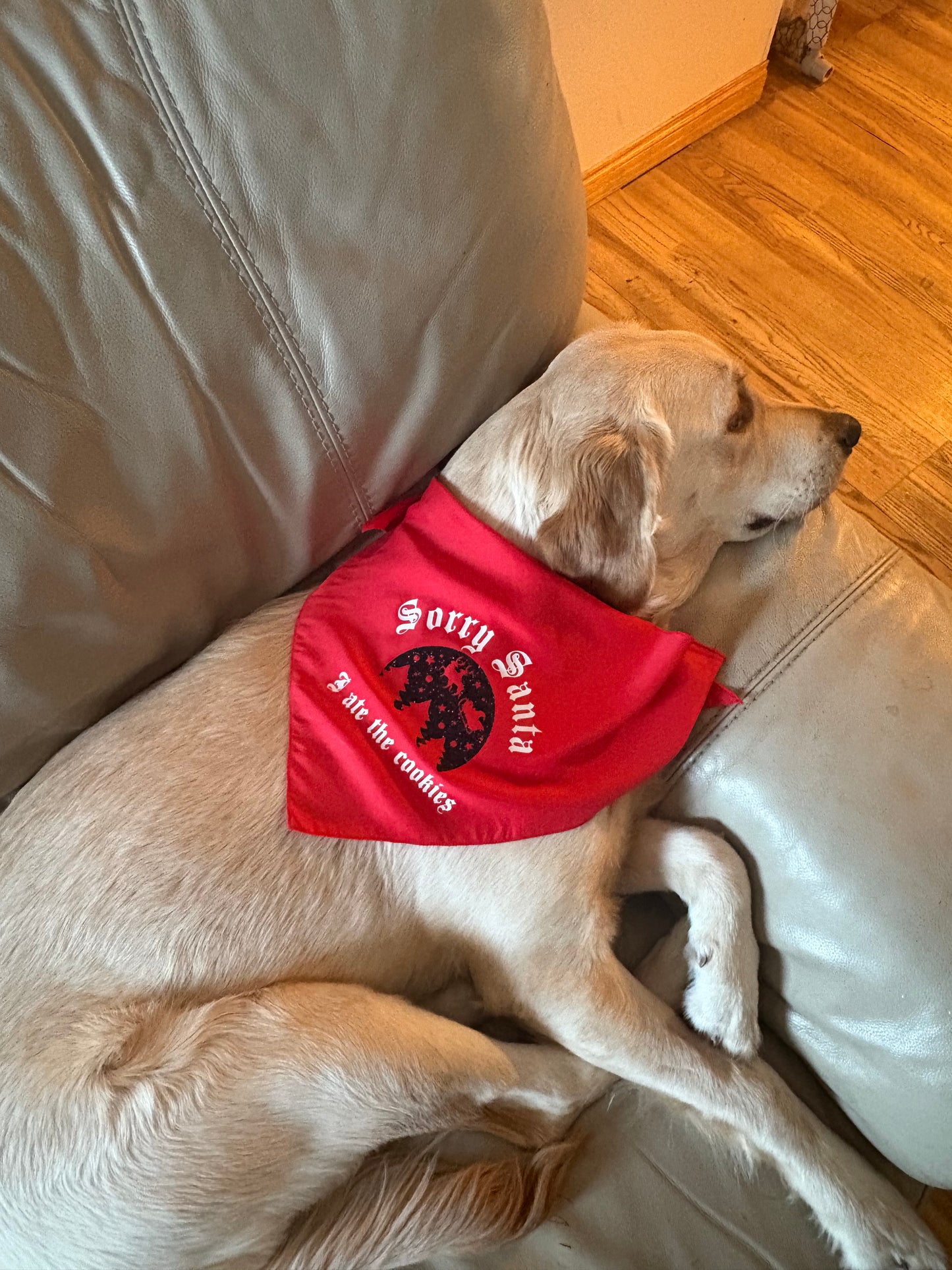 “Sorry Santa” dog bandana