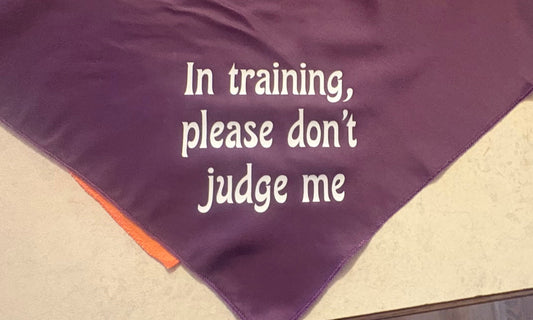 “Don’t judge me” dog bandana
