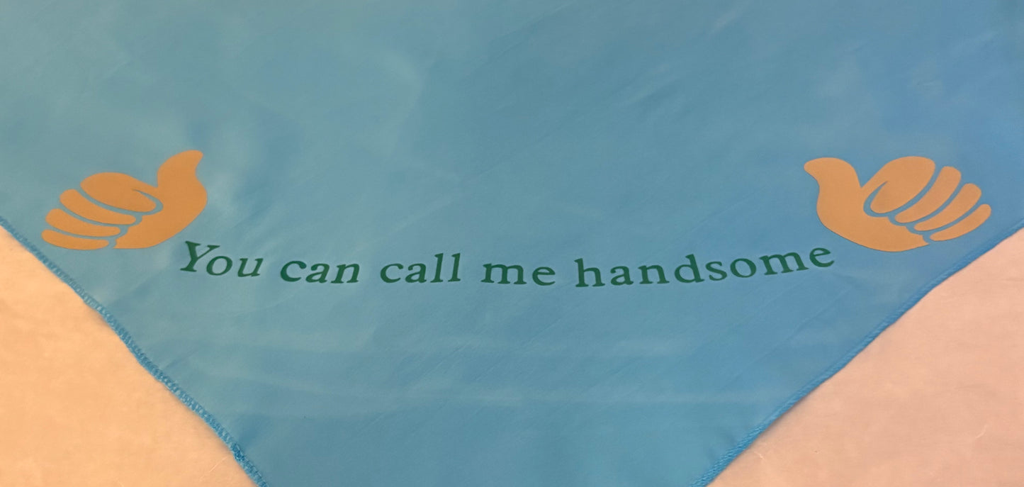 “You can call me handsome” dog bandana